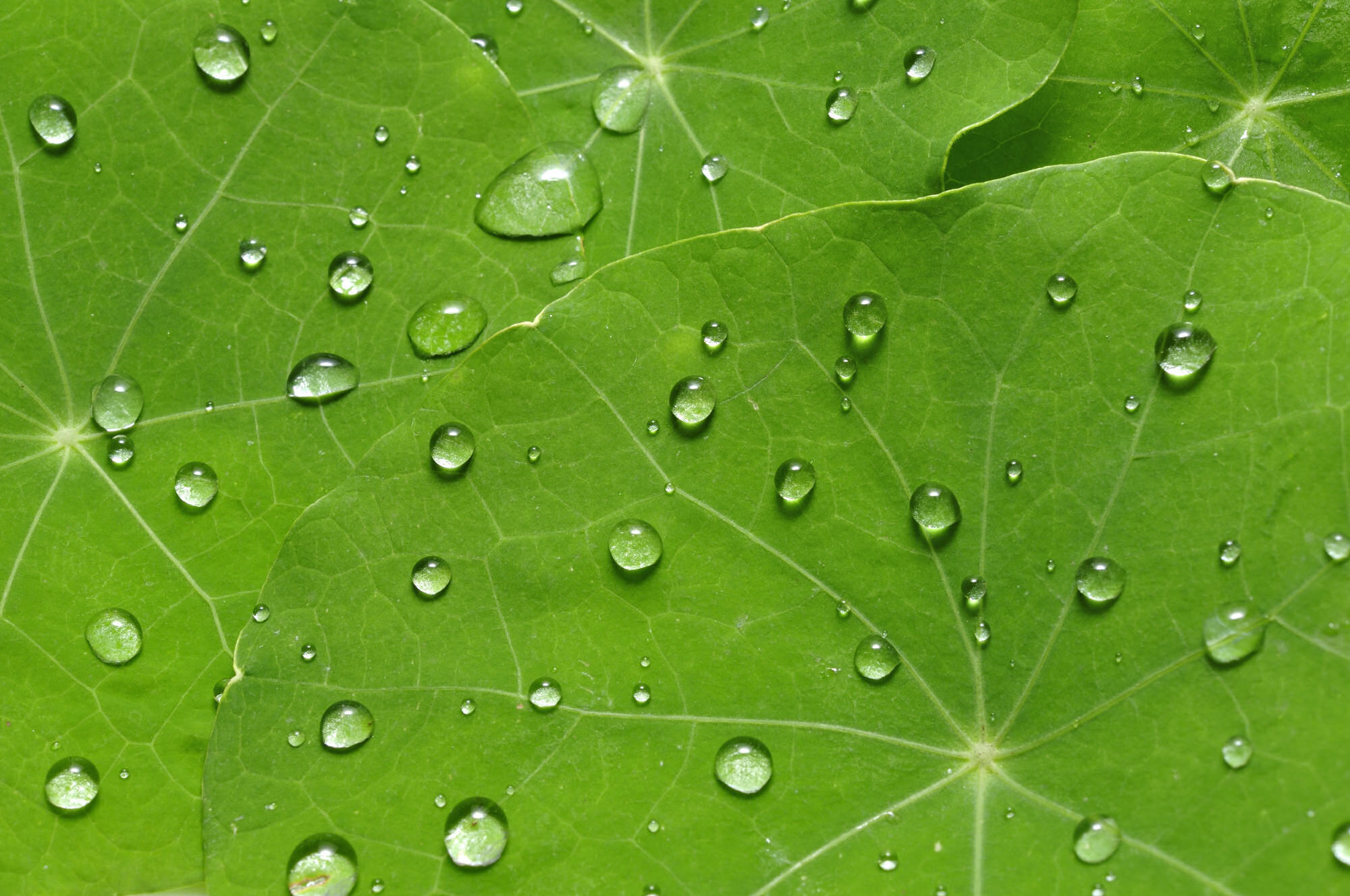 Conductive coatings for electronics protection